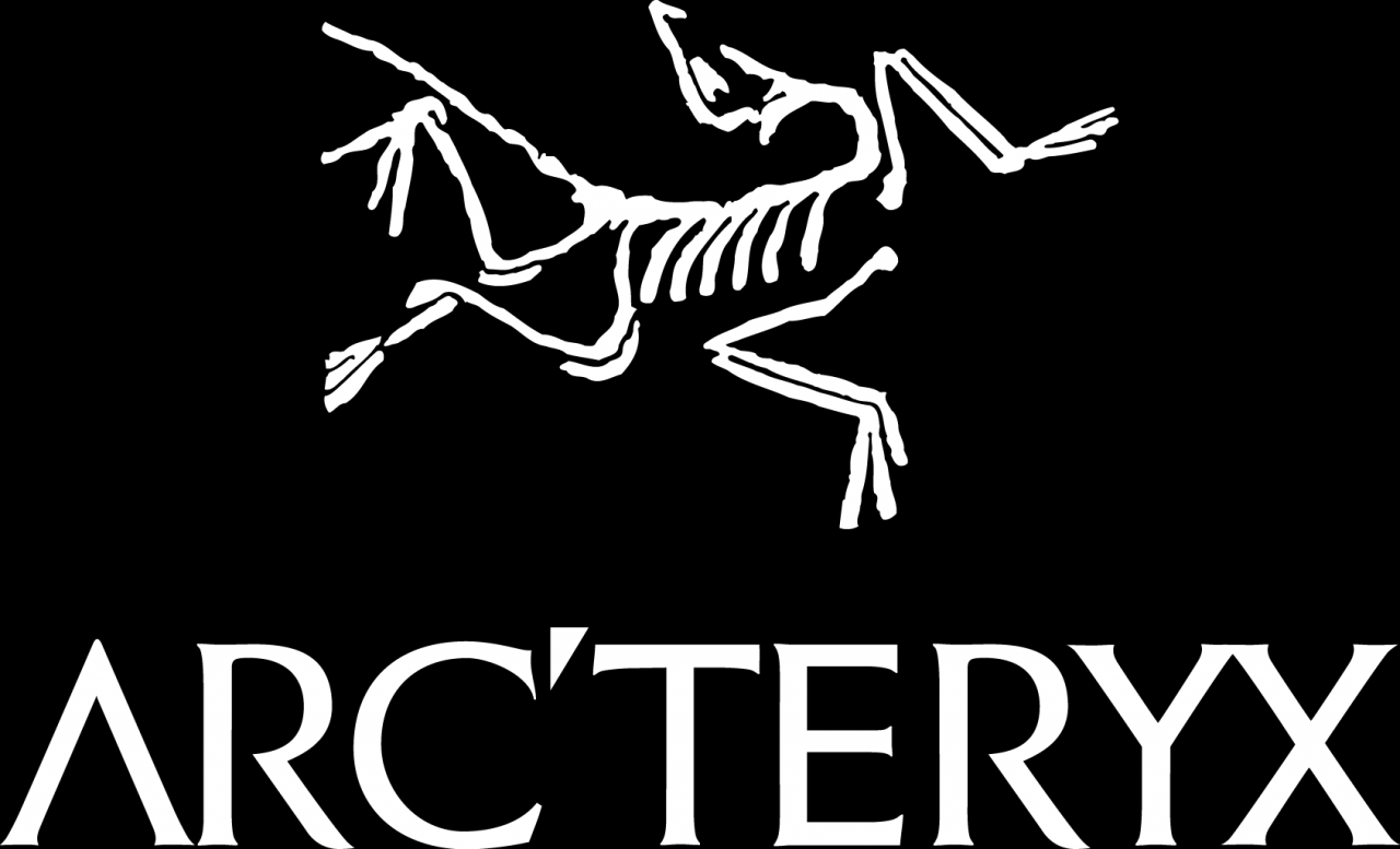 bird logo